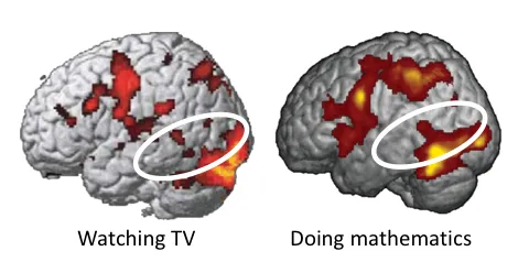 Irrelevant brain images that sway opinion.